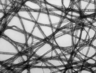 Brightfield Illumination Image of Tissue Paper