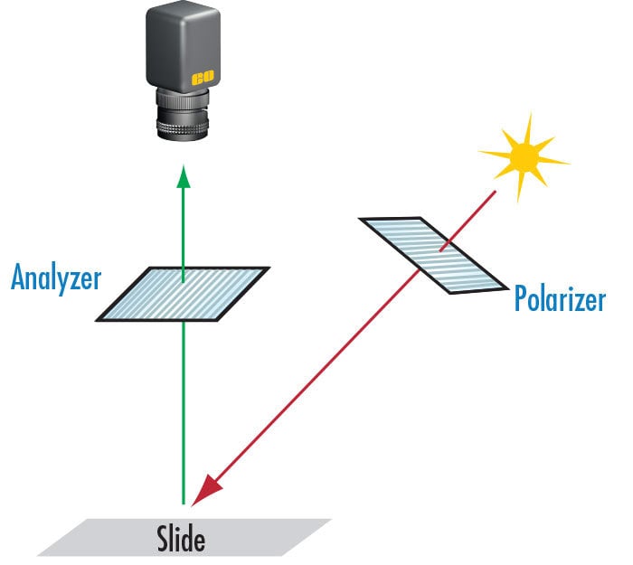 Figure 9: This imaging scheme is one way to eliminate or reduce scatter, glare, or hot spots. The light source is polarized by the polarizer and the reflected light that will be imaged is polarized once more, this time by the analyzer.