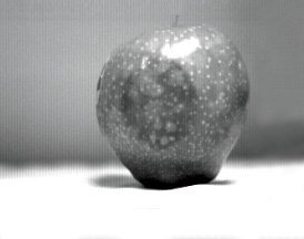 SWIR Imaging of Red Apple