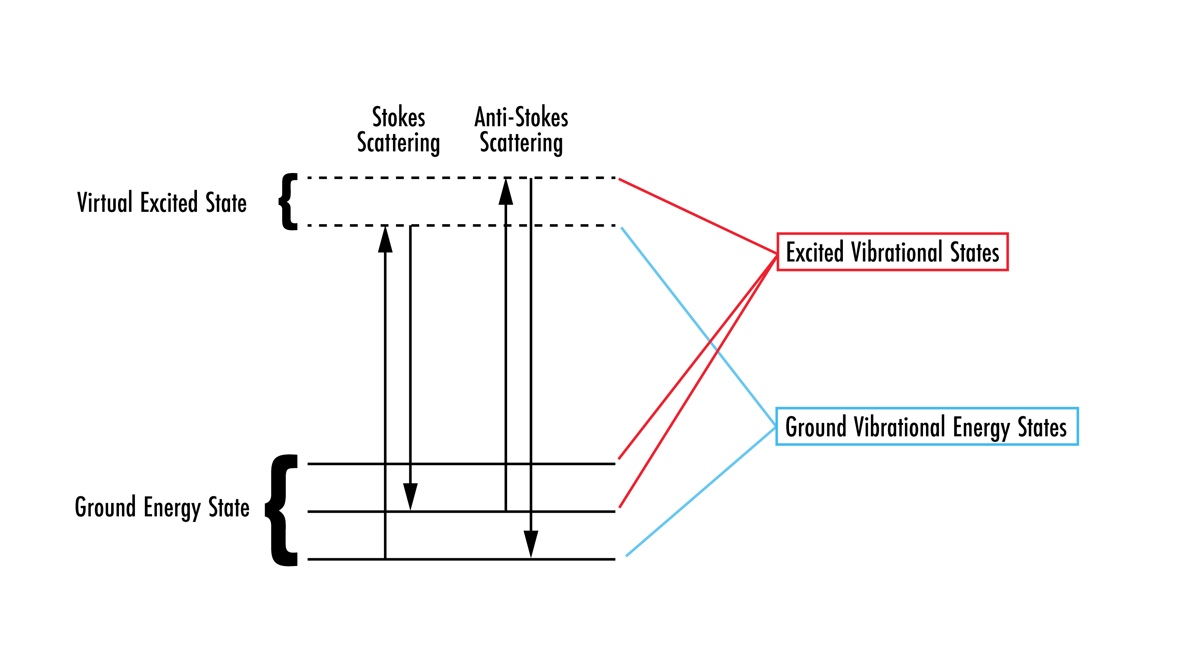 Showing the two different types of inelastic scattering processes. Note: the virtual excited state is not the first excited state of a molecule.