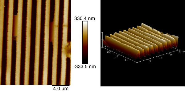 Figure 2: Topography map of a grating captured using atomic force microscopy