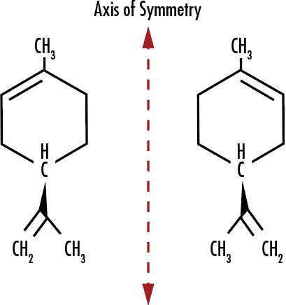 Figure 12: (+)-Limonene, or D-Limonene (left), is associated with the smell of oranges as oranges have a higher concentration of this stereoisomer than the other. (+)-Limonene rotates the orientation of incident light. (-)-Limonene, or L-Limonene (right), is associated with lemons because it is highly concentrated in lemons, and it rotates incident light in the opposite direction as (+)-Limonene.
